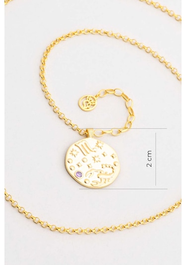 Akrep Burcu 18 Ayar Sarı Altın Kaplama 45 Cm Gümüş Kolye Sarı