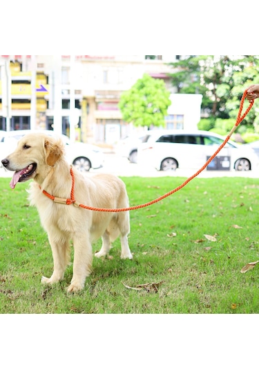 Leezsingköpek Tasması Kayma İpi Örgülü İp 1.7m Ağır Hizmet Tipi Çekmesiz Eğitim Tasması Küçük Orta Büyük Köpekler İçin