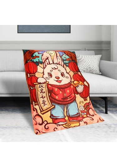 Homyl 31 "x 43" Yumuşak Atma Battaniye Flanel Oturma Stil-a Stil A Çok Renkli