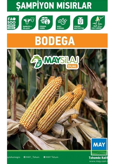 May Bodega Hibrit Sılajlık Mısır Tohumu