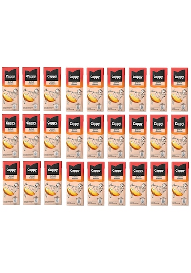 Cappy Şeftali Nektarı 200 Ml X 27 Adet