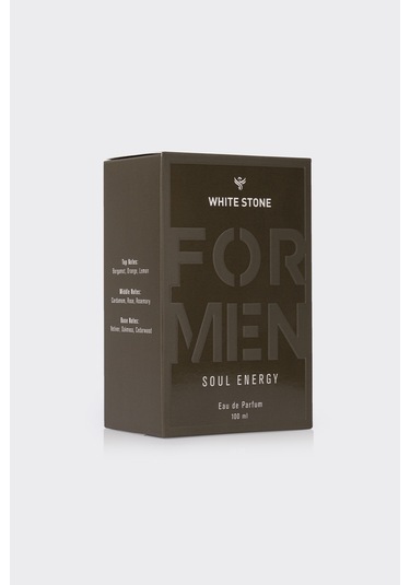 Soul Energy Erkek Eau De Parfum 100 Ml Fresh