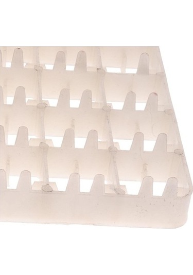 Pazly Yumurta Yumurta Suntek Ördek Kuş Kanatlı Bıldırcın 88-tavuk Jy