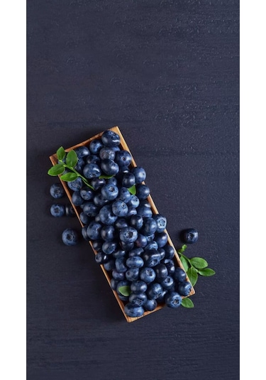 Bahçev2 Yaşında Tüplü Yaban Mersini Fidanı