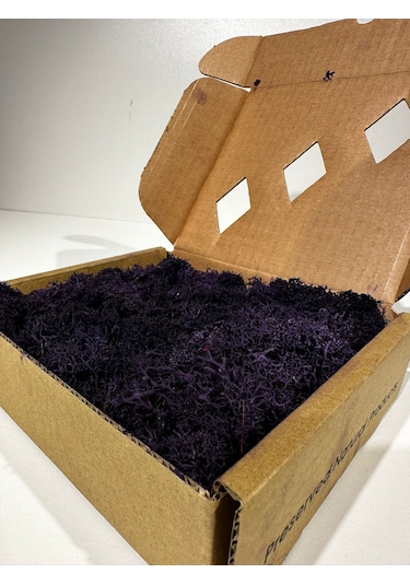 Reindermoss Şoklanmış Norveç Yosunu Terarium Yosunu Siyah 500 Gr.