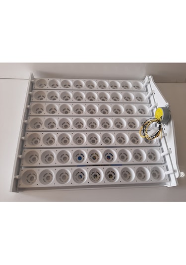 63'lük Otomatik Kuluçka Viyolü 46,5x42 X13,5