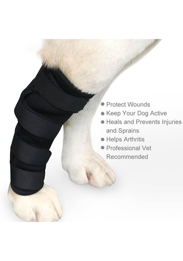 Homyl Artrit Yara İyileştirmesinden Kaynaklanan Stabilite Xl