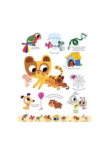 Büyük Sorular Kitabım Hayvanlar - Sandra Lebrun et Loic Audrain - Yapı Kredi Yayınları