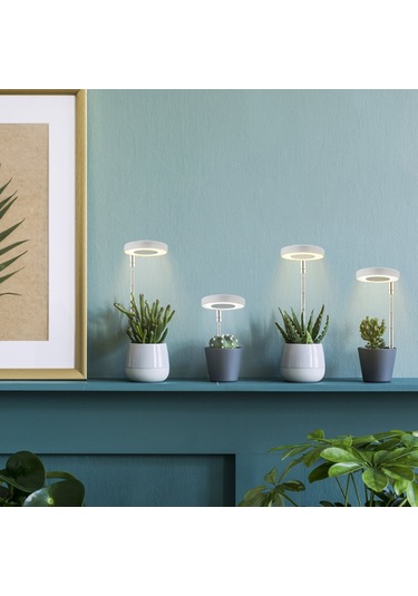 Mufunye 3/9/12h Zaman Ayarlı, Parlaklık Kontrollü Mini Led Daire Lamba - İç Mekan Bitki Yetiştirme Işık Sistemleri