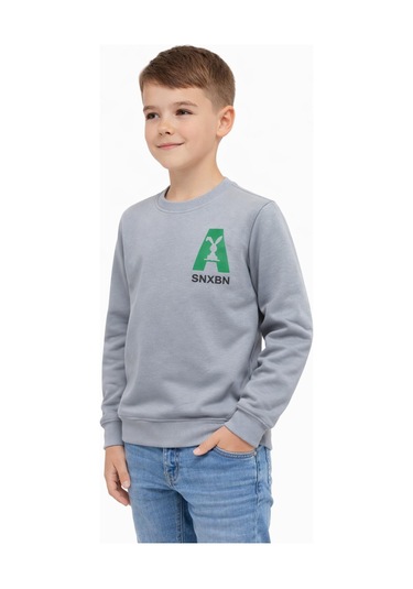 Baglan Erkek Çocuk Önü Baskılı Sweatshirt Bgl-st05234 Gri