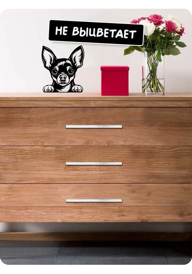 Stadi Dikkat Eden Köpek Etiketi 201967031 Siyah