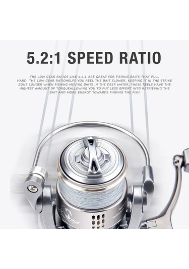 Fochsia Haut Ton Slıver Wınds 2500 Sku Rotasyonlu Olta Makinesi 13 Bb 5.2:1 Dişli Oranı 4-14lb Drag Ultra Hafif