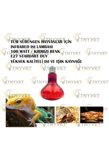 100 Watt Kızılötesi / Kırmızı Işık Isıtıcı Lambalar Sürüngenler,