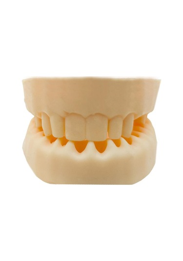 Barışhan Medikal Silikon Çene Diş Dikiş Modeli Ortodontik Alt Üst Çene Periodontal Sütür Eğitim Modeli-4