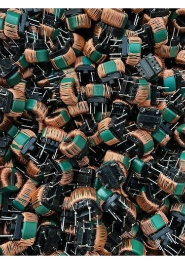 Ortak Mod Endüktans Bobini 2X51Mh