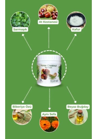 Celestıque At Kestanesi Jeli Kas ve Eklem Masaj Kremi 4 x 500 ML