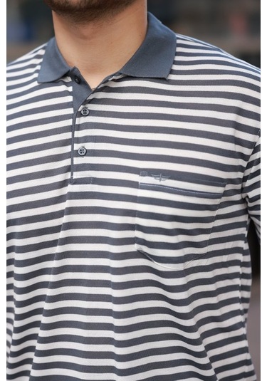 Erkek Yakalı Çizgili Kısa Kollu T-shirt Antrasit - Beyaz