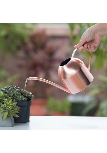 Monyee Gül Altın Rengli Çelik Sulama Kettle, 500ml, Dış Cepheli, Bitki Bakımı İçin Uygun, Dayanıklı Ve Pratik