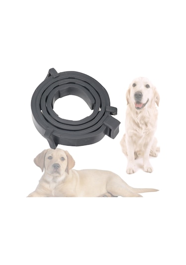 Homyl Kedi Köpek Için Pire Kene Yaka 10 Ay Koruma Evcil Hayvan Siyah