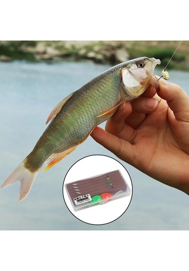 Homyl Bağlı Sinekler Seti Yapay Yem Balıkçılık Cazibesi C