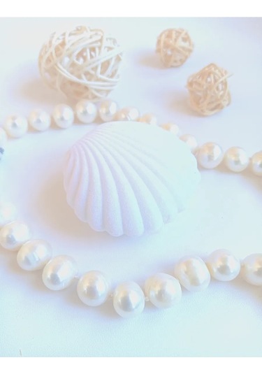 Takı Kutusu 404739699