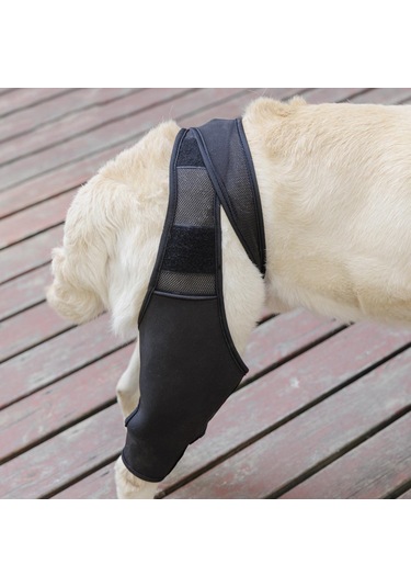 Homyl Köpek Bacak Desteği Esnek Destek Bandajları Malzemeleri