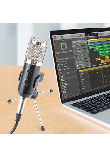 Exeo BM900 Ekolu Profesyonel Youtuber Stüdyo Kayıt Mikrofonu