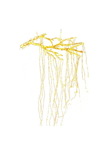 2m Yüksek 10 Telli 200 Led Işıklı Bakır Tel Vines Lambası, Pilli Kumandalı, Islak Beyaz, Noel, Düğün Bahçe Dekorasyonu