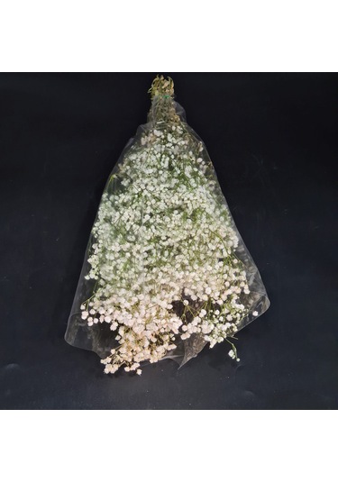 Konak Züccaciye Şoklanmış Doğal Cipso Bağı Krem