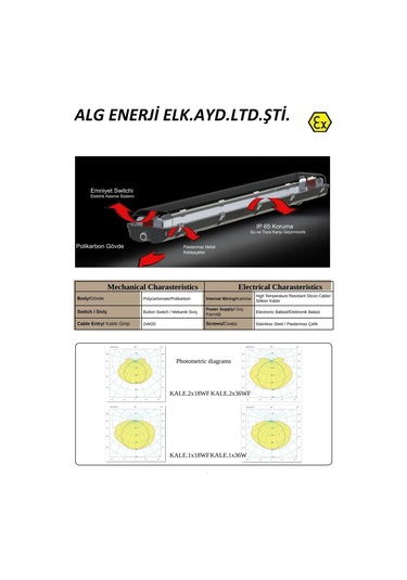 2X36W EXPROOF ETANJ ARMATÜR Sarı