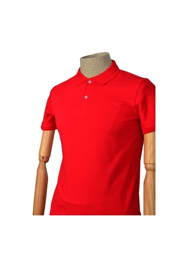 Cengiz İnler Polo Yaka Düz T-Shirt Slim (548482330)