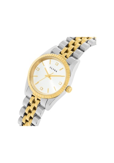 Clyda Cla8312a2 Kadın Kol Saati Gümüş