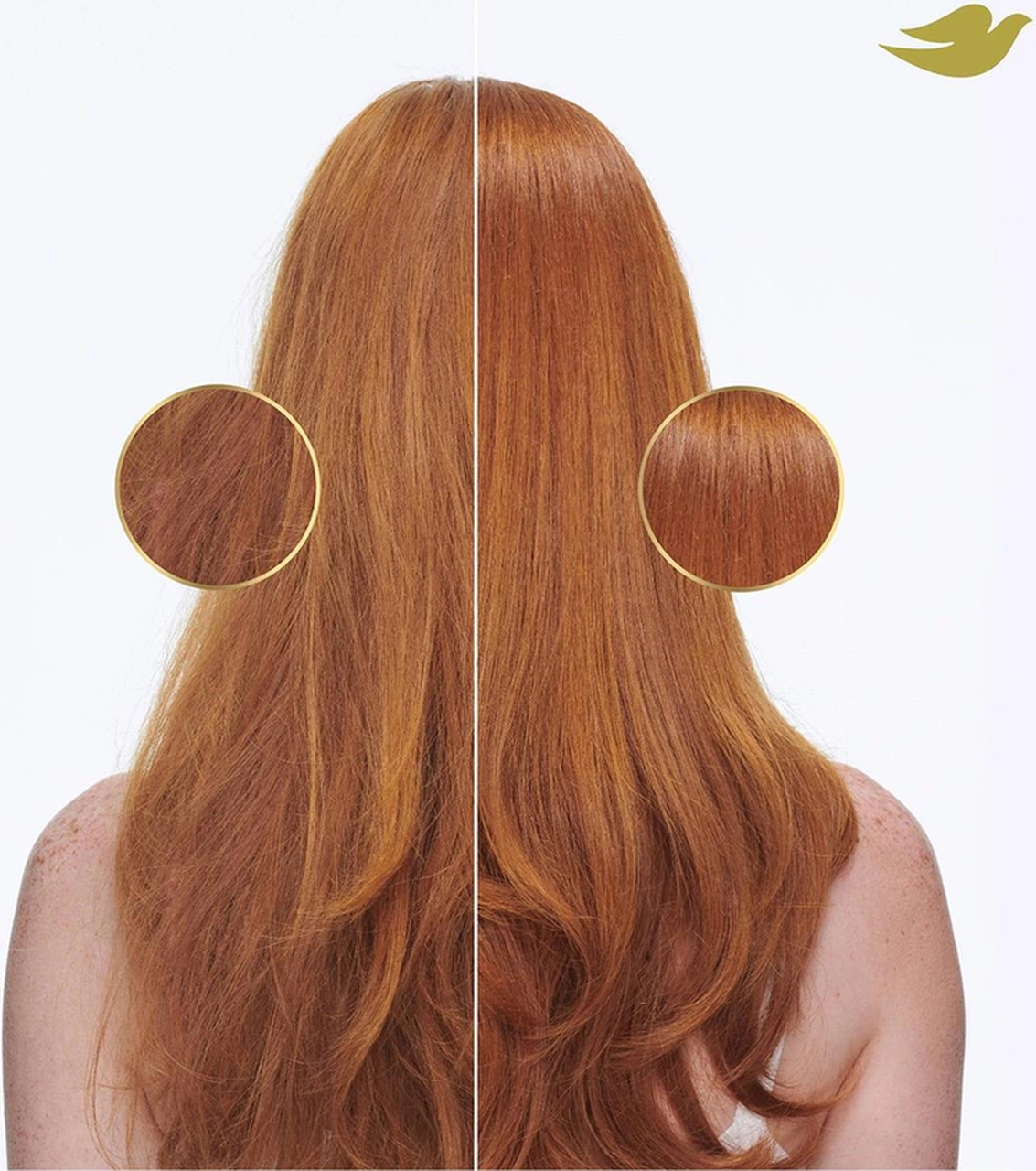 Dove Damage Therapy Günlük Nemlendirici Şampuan 828ml Tüm Saç Tipleri