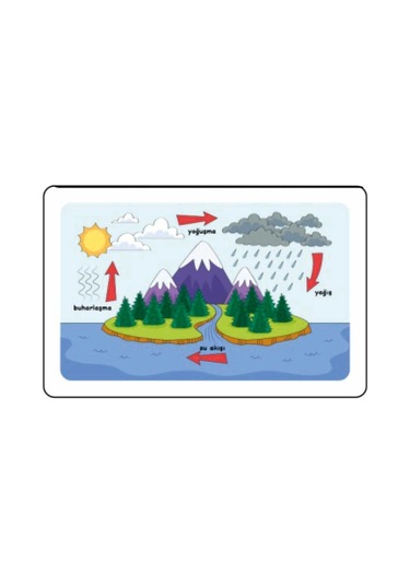 Ankebut Suyun Döngüsü Puzzle 24 Parça Renkli Puzzle 30411