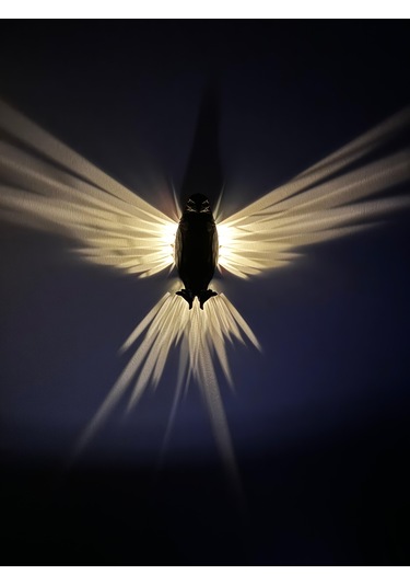 Kartal 3d Baskı Ile Üretilmiş Dekoratif Gece Lambası/aplik Siyah