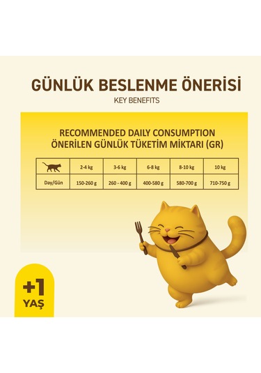 Tavuklu Yaş Konserve Yetişkin Kedi Maması, Jöle İçinde Parça Etli, 400 Gr X 12 Adet