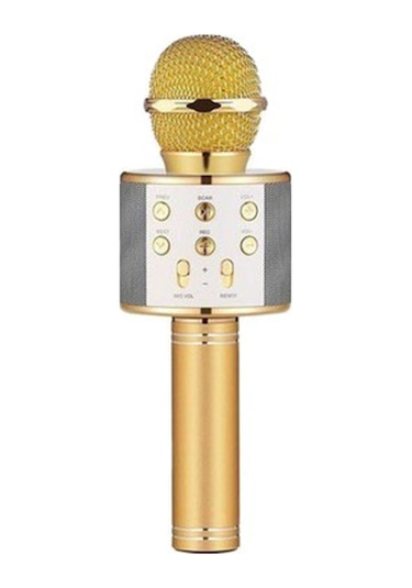 Winex Usbatf Sd Kart+3.5 MM Giriş Bluetooth Karaoke Mikrofonu Gold