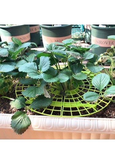 Yifomall "pratik Çilek Desteği - Topraktan Koruma, Kolay Kurulum, Dayanıklı Pe Malzeme"