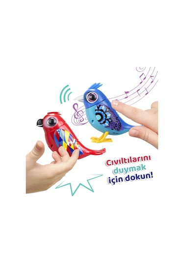 Digibirds İkili Paket Seri 2