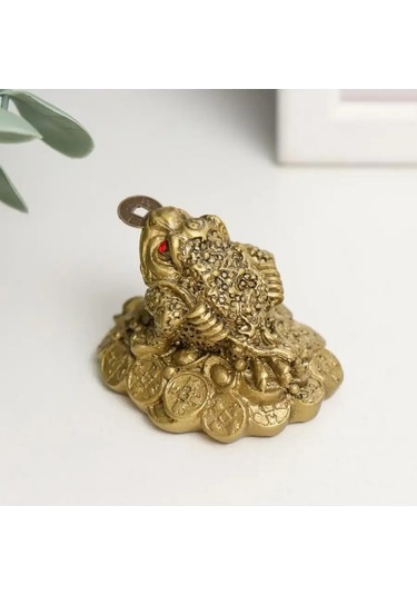 Simalend Para Kertenkeleleri 171112493