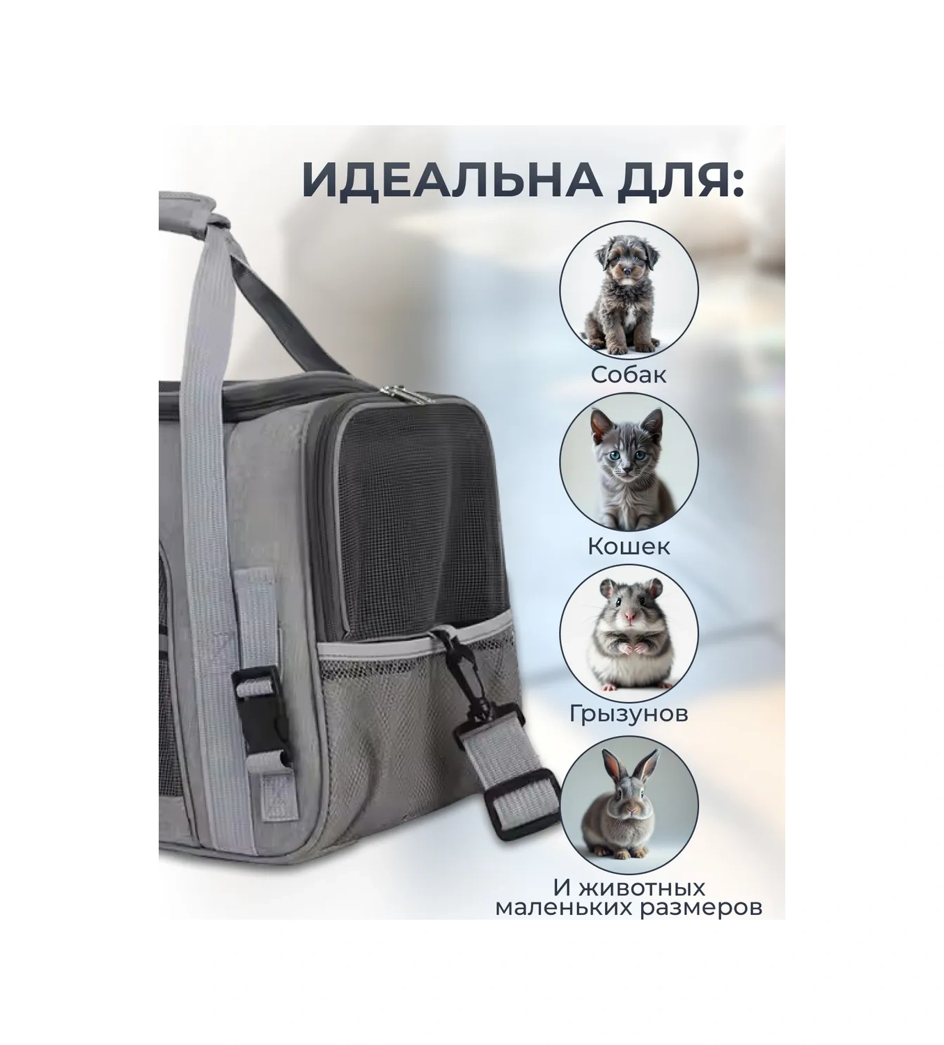 Platser Group Kedi Ve Köpekler İçin Taşıma Çantası 213868100