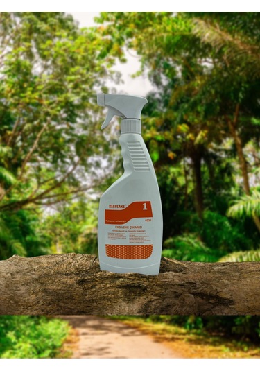 1. Kalite Profesyonel Pas Leke Çıkarıcı 500 Ml