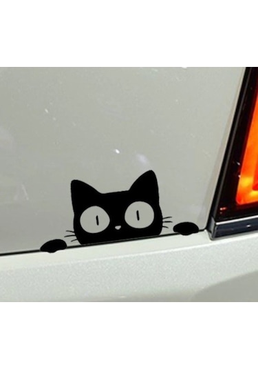 Kedi Oto Araba Sticker Yapıştırma