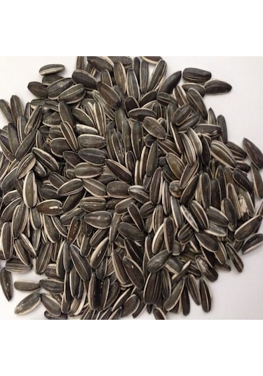 Doğal Siyah Çerezlik Çitlemelik Ayçiçeği Çekirdek Tohumu 2,5 Kg