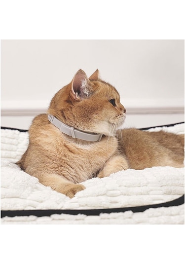 M-pets Keep Calm Calming Sakinleştici Kedi Tasması Gri 244-77004.01