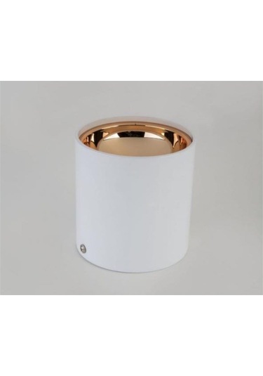 Foça Sıva Üstü Led Armatür Boş Kasa Gu10 Duy Ct-5421 Diğer