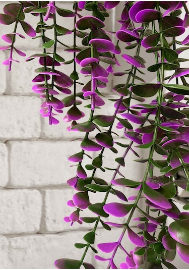 Özel Tasarım Iki Renkli Elmas Beyaz Saksılı Mor - Yeşil Okaliptus Sarkıtı