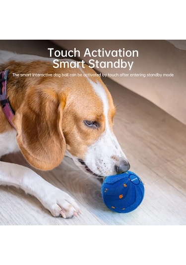 Fochsia Siyah E-tpu Malzeme Orta Ve Büyük Köpekler İçin Otomatik Hareketli Zıplayan Dönen Top