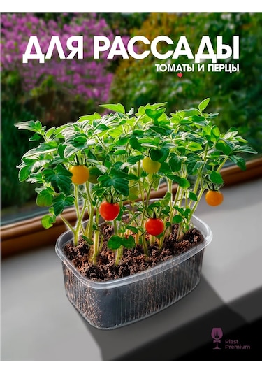 Ecopakplast Kapaklı Tek Kullanımlık Yemek Kapları 500 Ml 30 Adet. 162965406 30