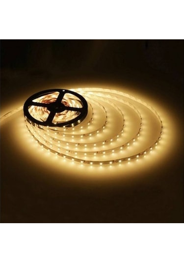 Tek Çipli İç Mekan Silikonsuz Şerit Led | 5 Metre